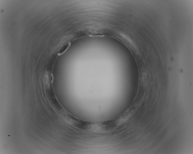 X0000076390121200610202114