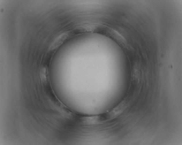 X0000076390122200610202114