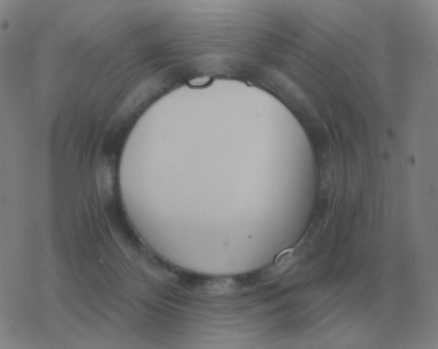 X0000076390124200610202114