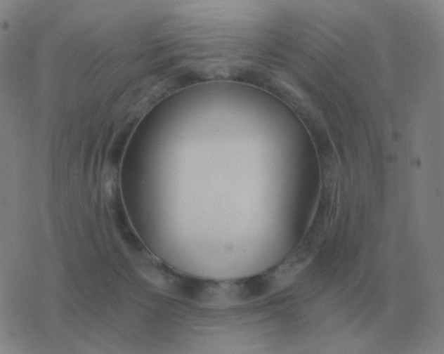 X0000076390125200610202114