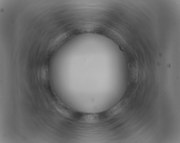 X0000076390126200610202114