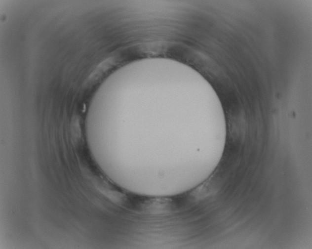 X0000076390128200610202114