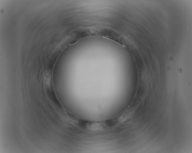 X0000076390129200610202114