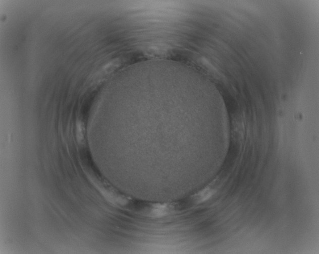 X0000076390130200610202114