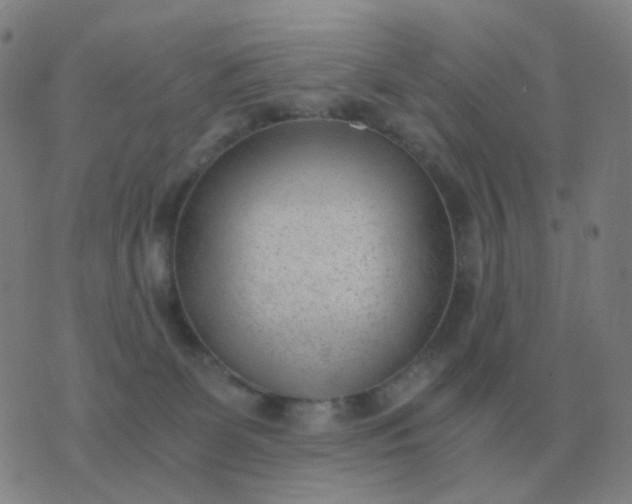 X0000076390131200610202114