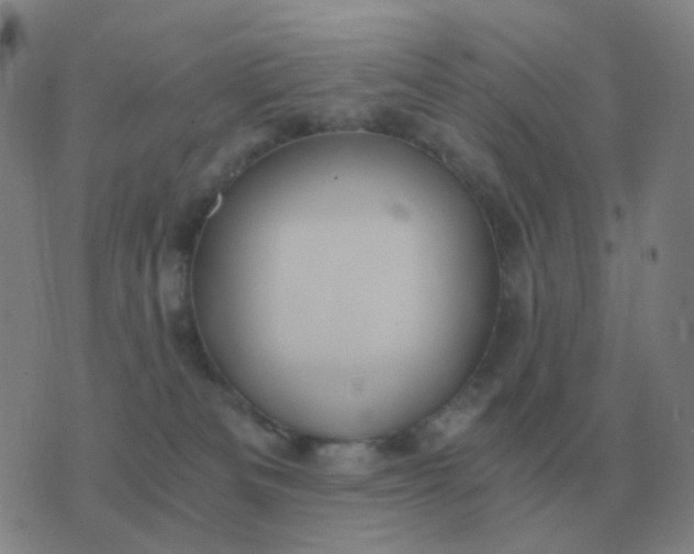 X0000076390133200610202114