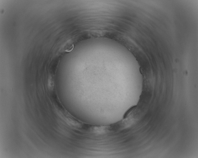 X0000076390134200610202114