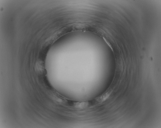 X0000076390135200610202114