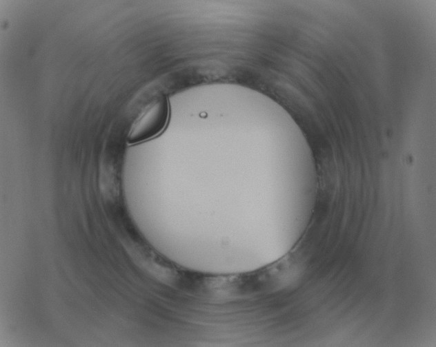 X0000076390136200610202114