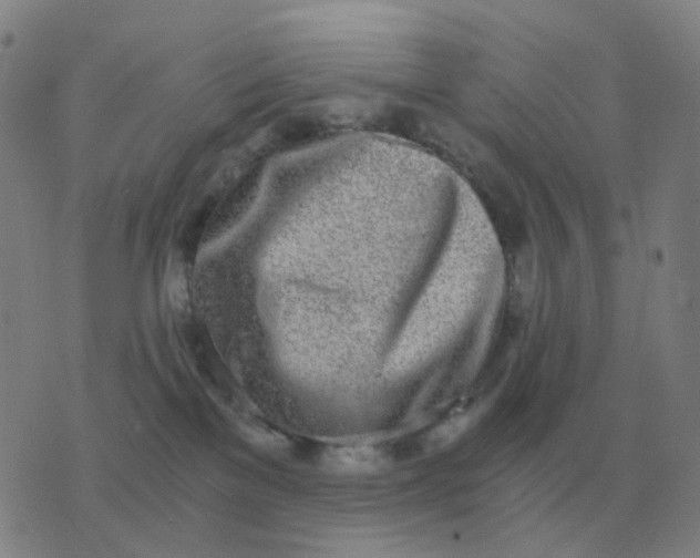 X0000076390137200610202114