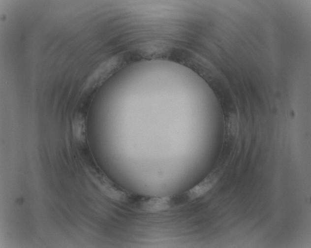 X0000076390138200610202114