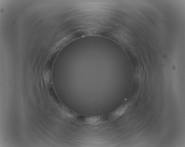 X0000076390139200610202114