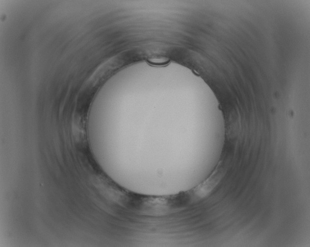 X0000076390140200610202114