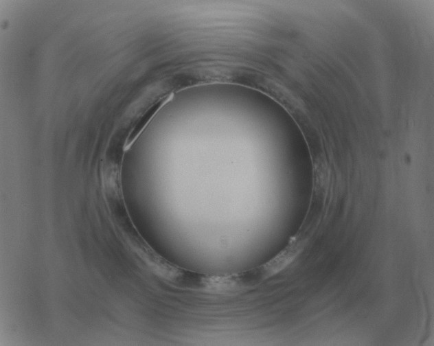 X0000076390141200610202114