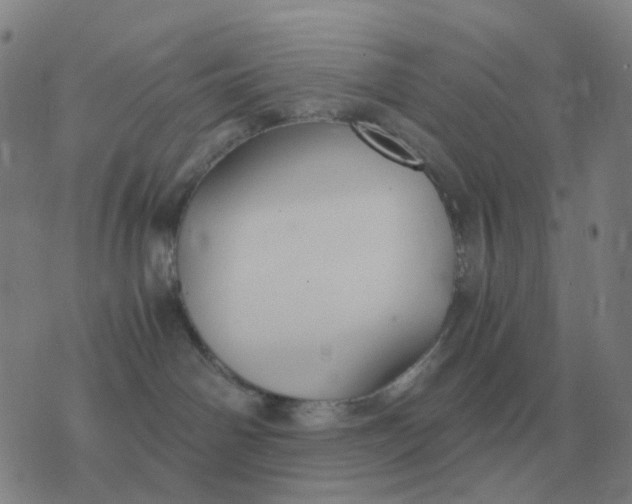 X0000076390142200610202113