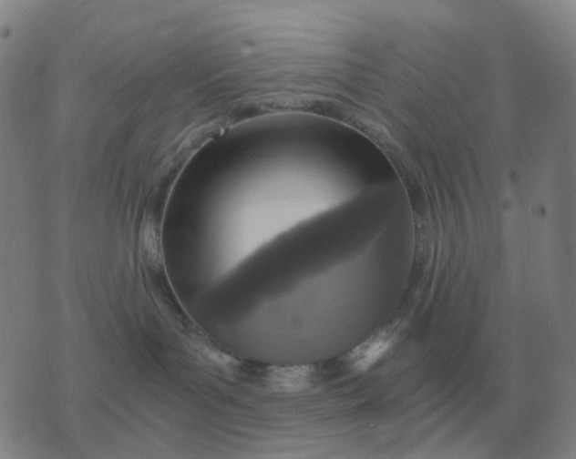 X0000076390143200610202113