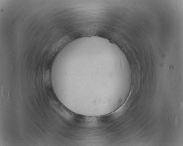 X0000076390144200610202113