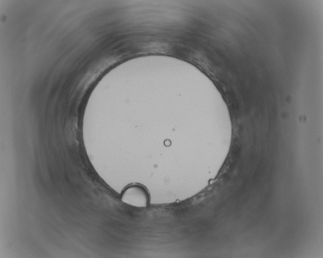 X0000076390146200610202113