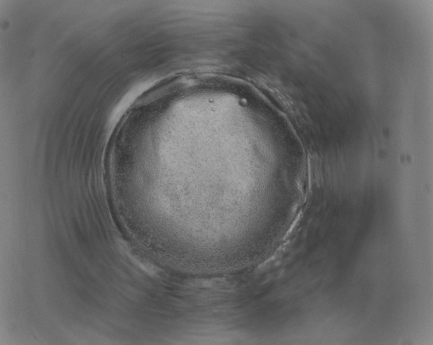 X0000076390147200610202113