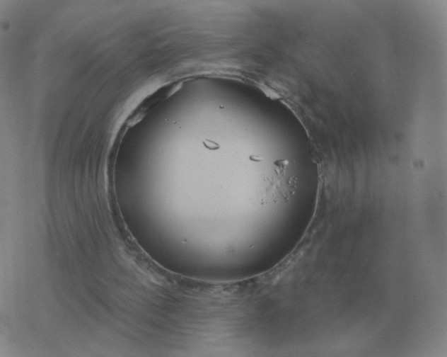 X0000076390148200610202113