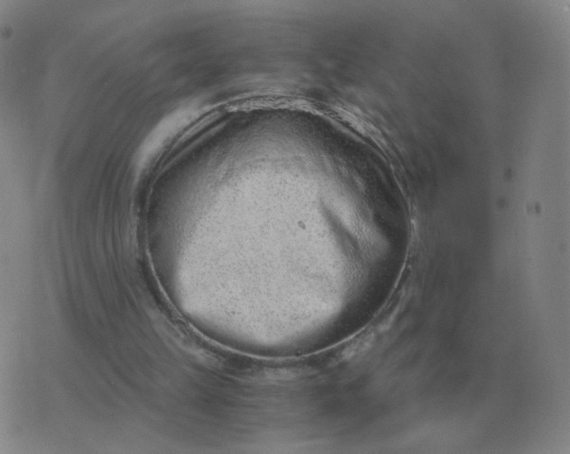 X0000076390149200610202113