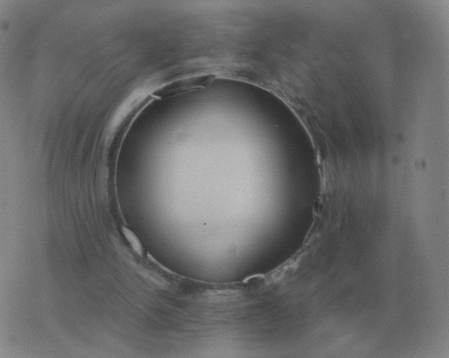 X0000076390150200610202113