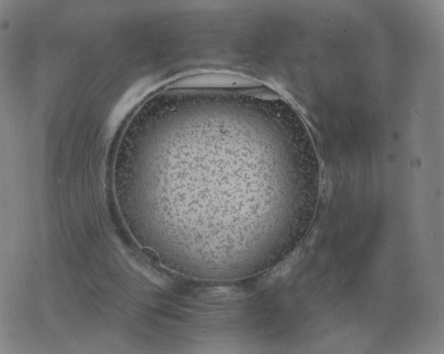 X0000076390151200610202113