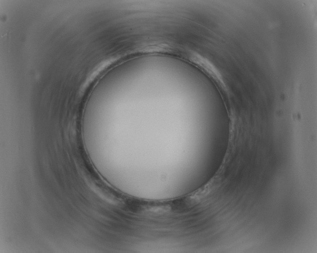 X0000076390155200610202113