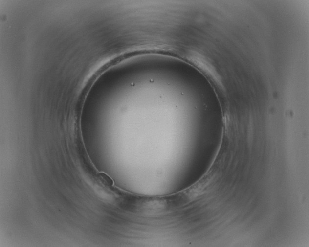 X0000076390156200610202113