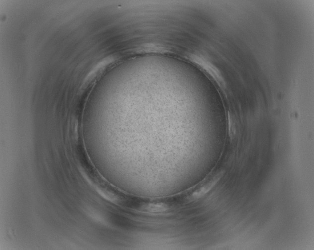 X0000076390157200610202113