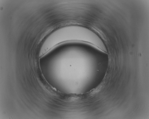 X0000076390158200610202113