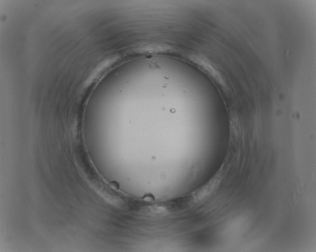 X0000076390159200610202113