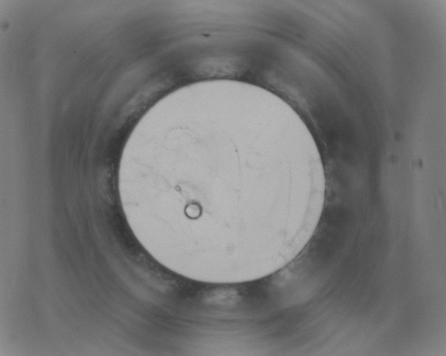 X0000076390162200610202113