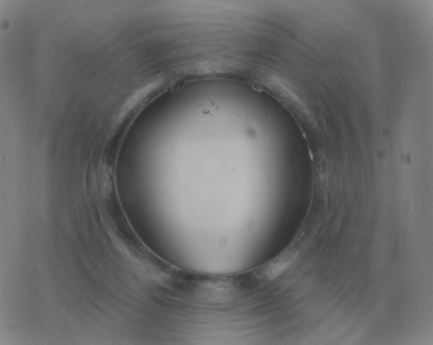 X0000076390164200610202113