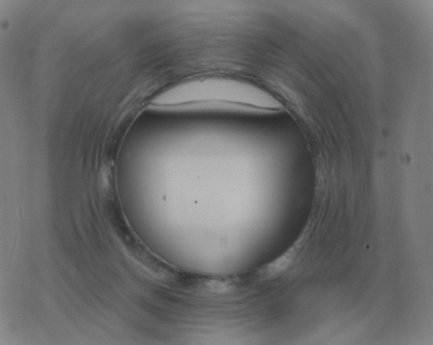 X0000076390166200610202113