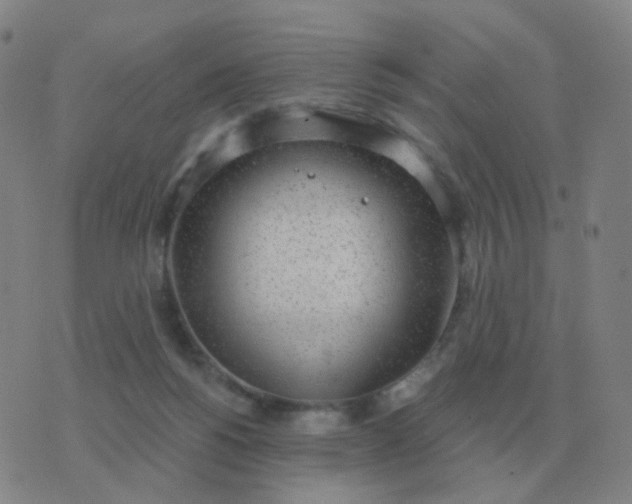 X0000076390168200610202113