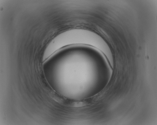 X0000076390169200610202113