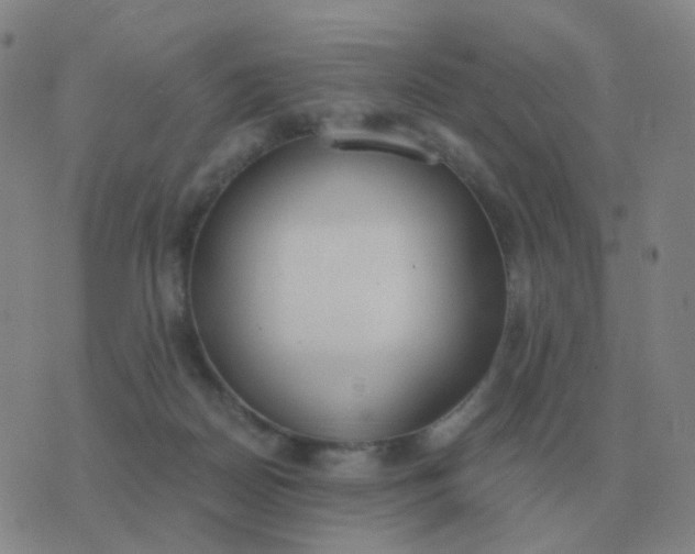 X0000076390170200610202113