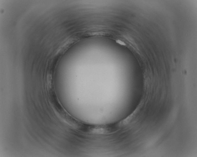 X0000076390171200610202113