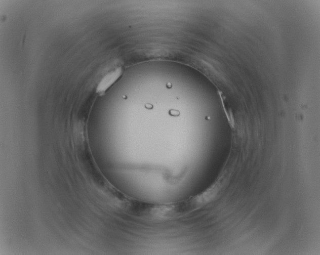 X0000076390172200610202113