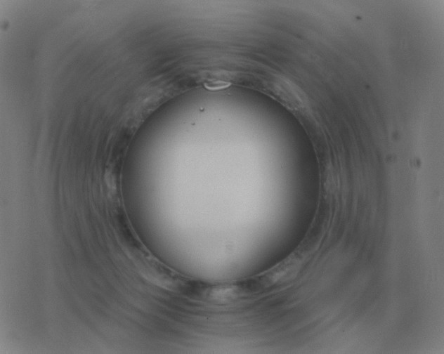 X0000076390173200610202113