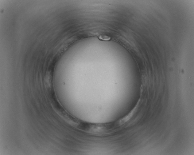 X0000076390174200610202113