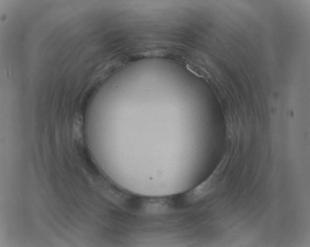 X0000076390175200610202113