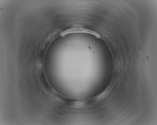 X0000076390176200610202113