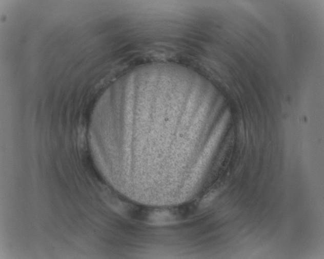 X0000076390177200610202113