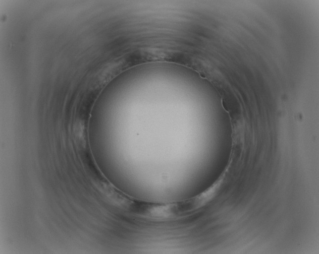 X0000076390178200610202113