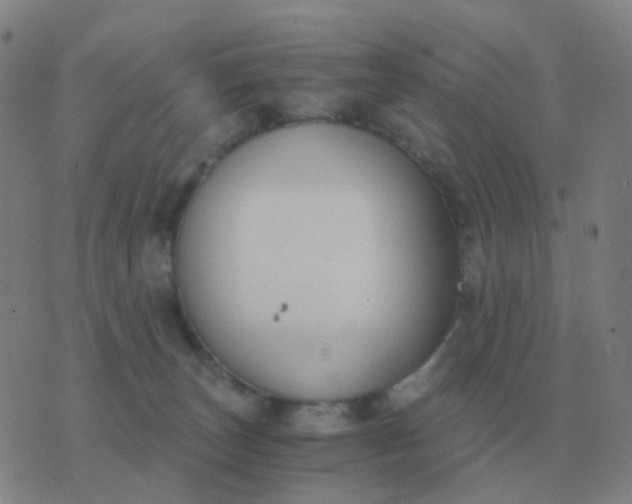 X0000076390179200610202113