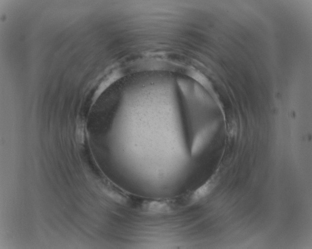 X0000076390180200610202113