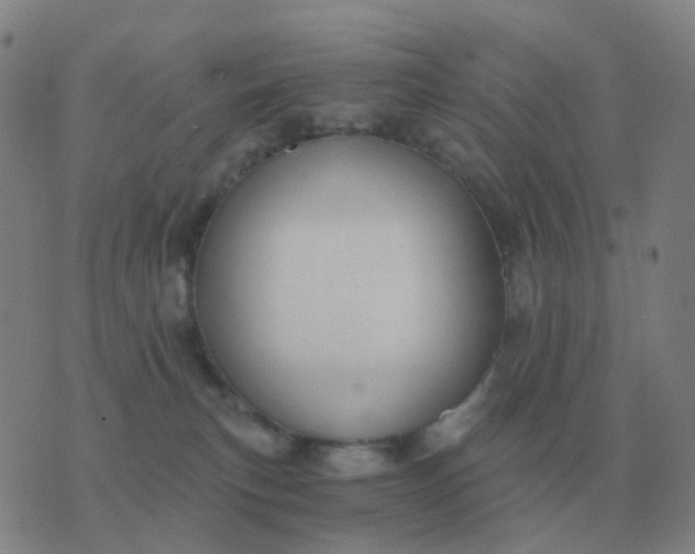 X0000076390183200610202113