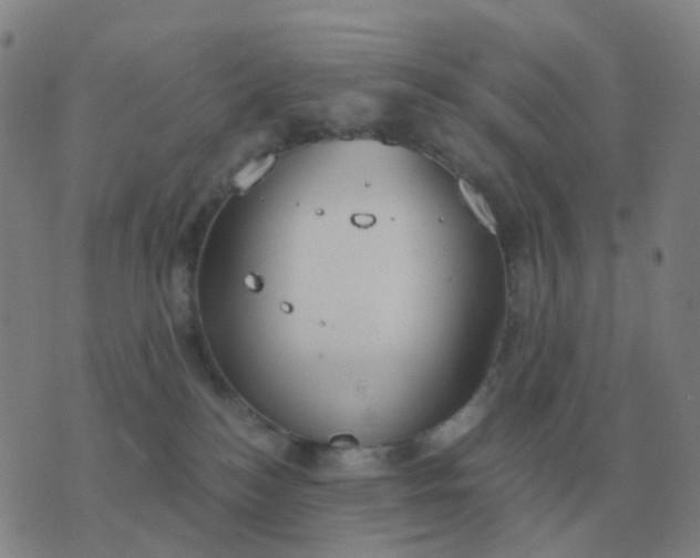 X0000076390184200610202113